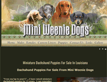 Tablet Screenshot of miniweeniedogs.com